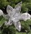 Julstjärna med klips Silkflower